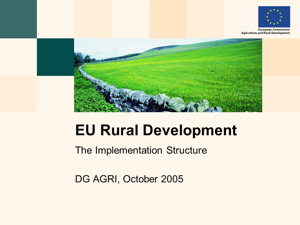The Implementation Structure DG AGRI, October 2005