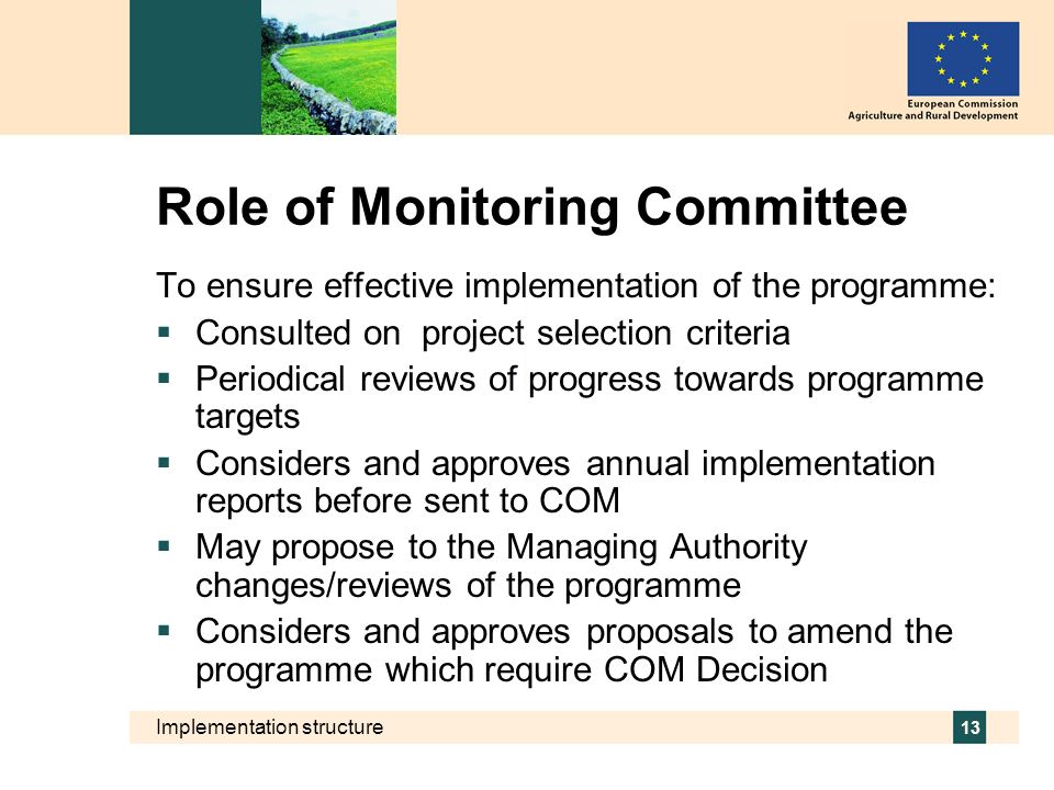 Role of Monitoring Committee