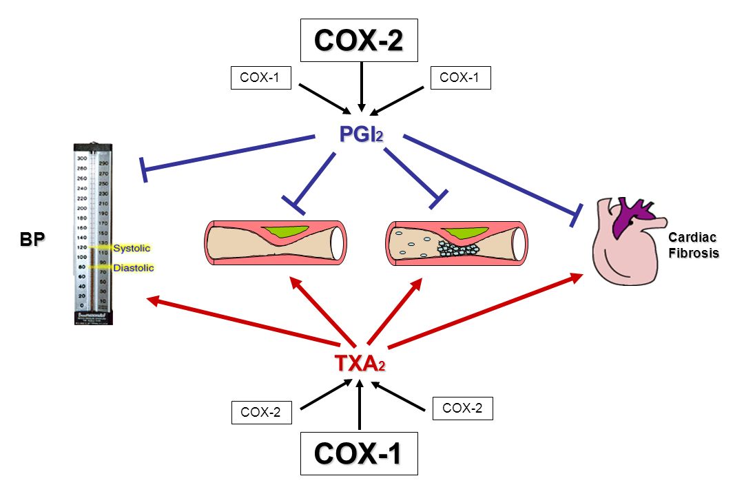 Mechanism Based Adverse Cardiovascular Events And Specific