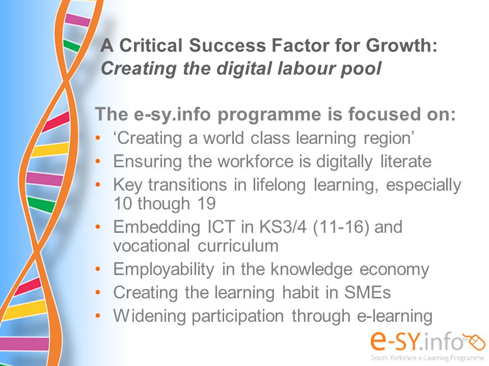 A Critical Success Factor for Growth: Creating the digital labour pool