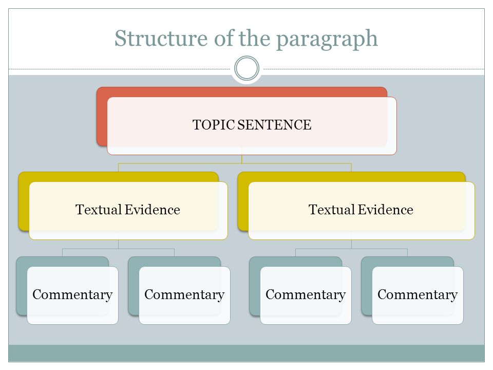 Structure of the paragraph