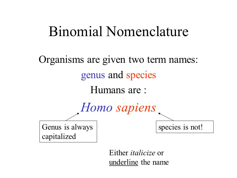 Terminal name. Binomial nomenclature. Binomial nomenclature of Plants and animals. Who first binomial nomenclature.