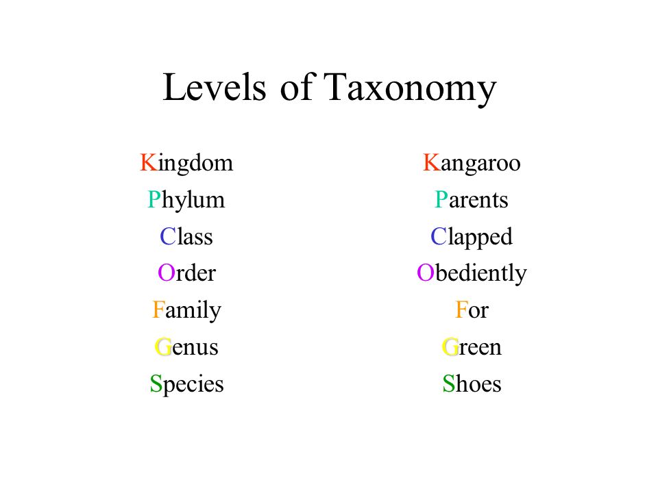 Kangaroo Classification Chart