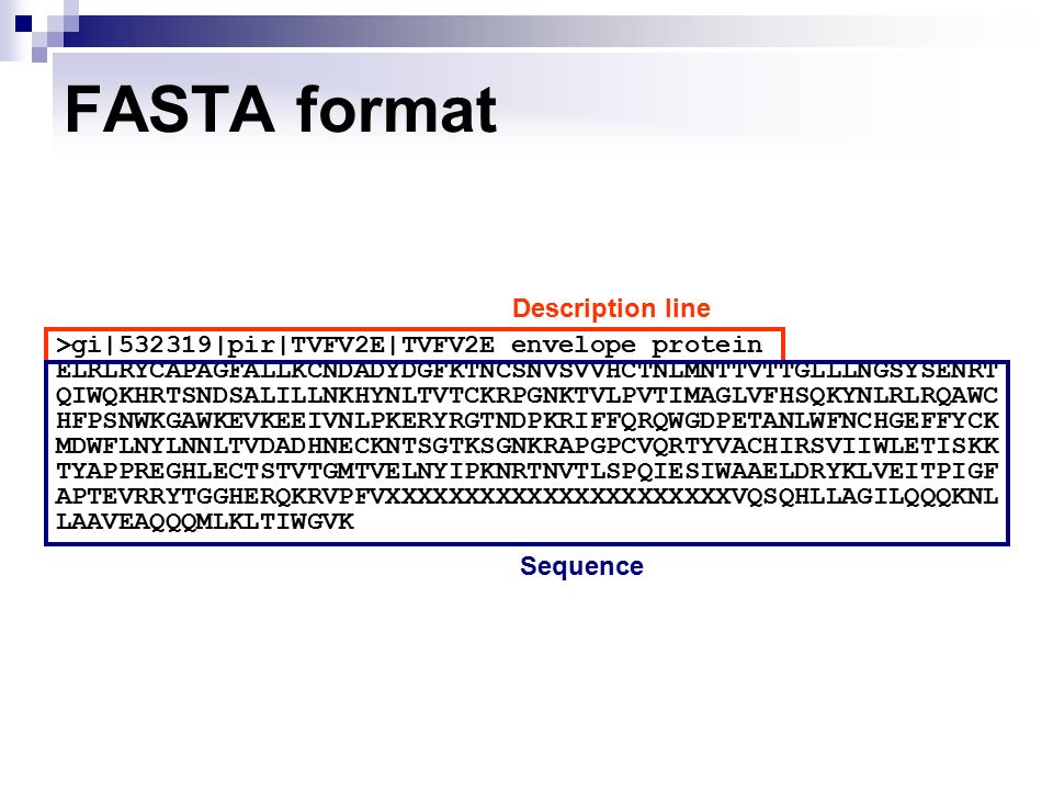 Формат фаста. Примеры текстов в формате fasta. Fasta файл. Программы fasta.