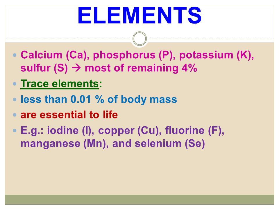 ELEMENTS Calcium (Ca), phosphorus (P), potassium (K), sulfur (S)  most of remaining 4% Trace elements: