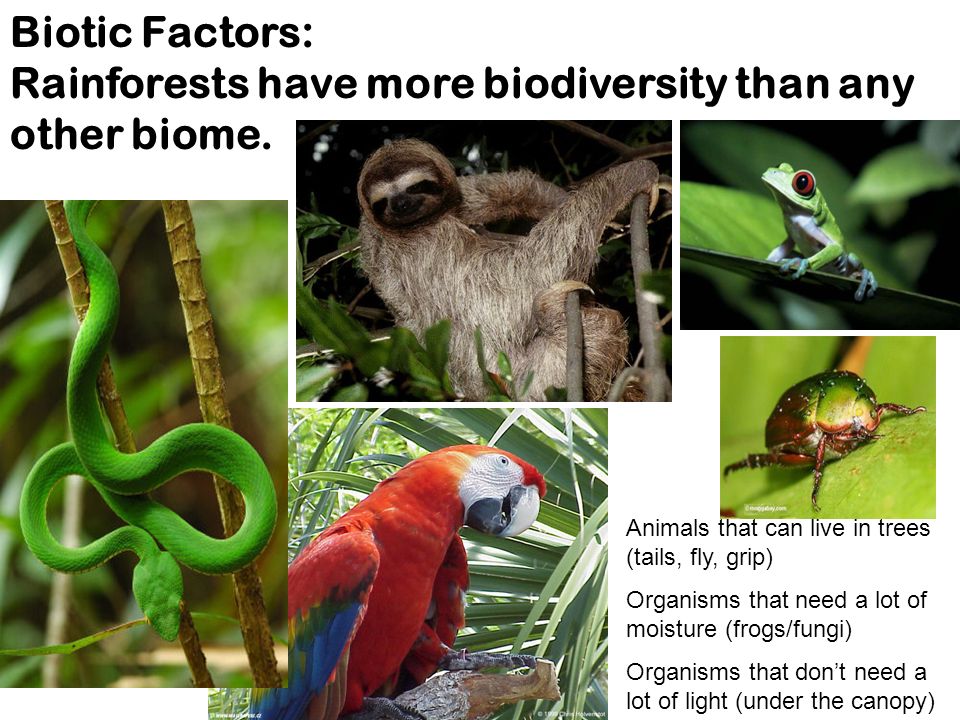Presentation on theme: "Biomes are a group of ecosystems with similar ...