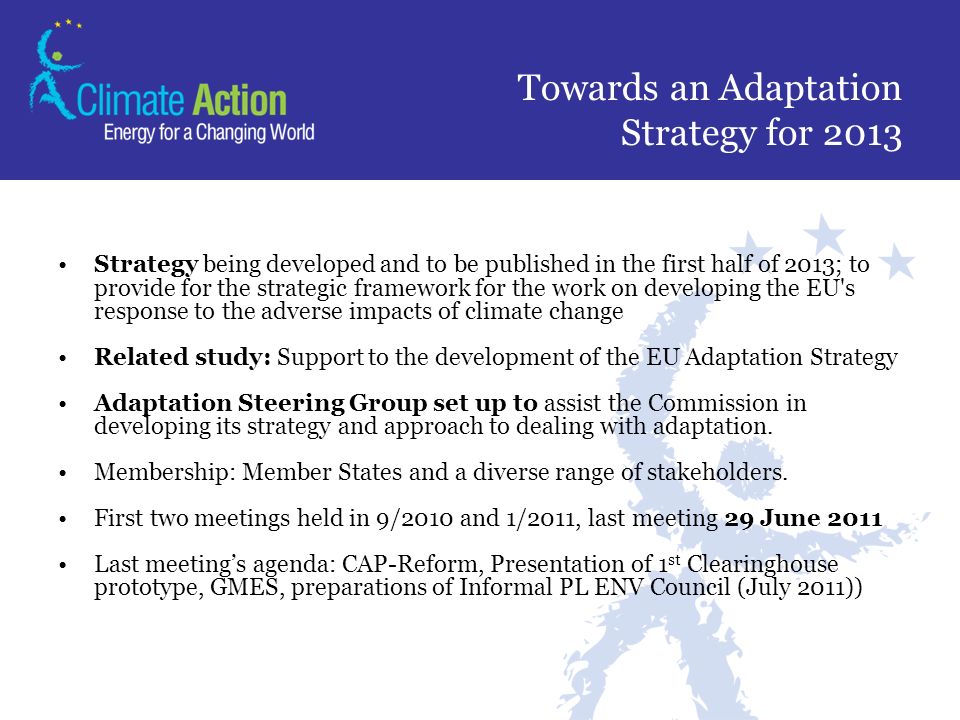 Towards an Adaptation Strategy for 2013