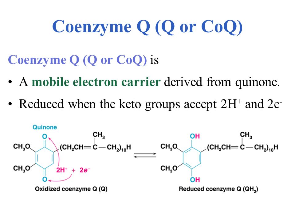 Coenzyme Q (Q or CoQ) Coenzyme Q (Q or CoQ) is