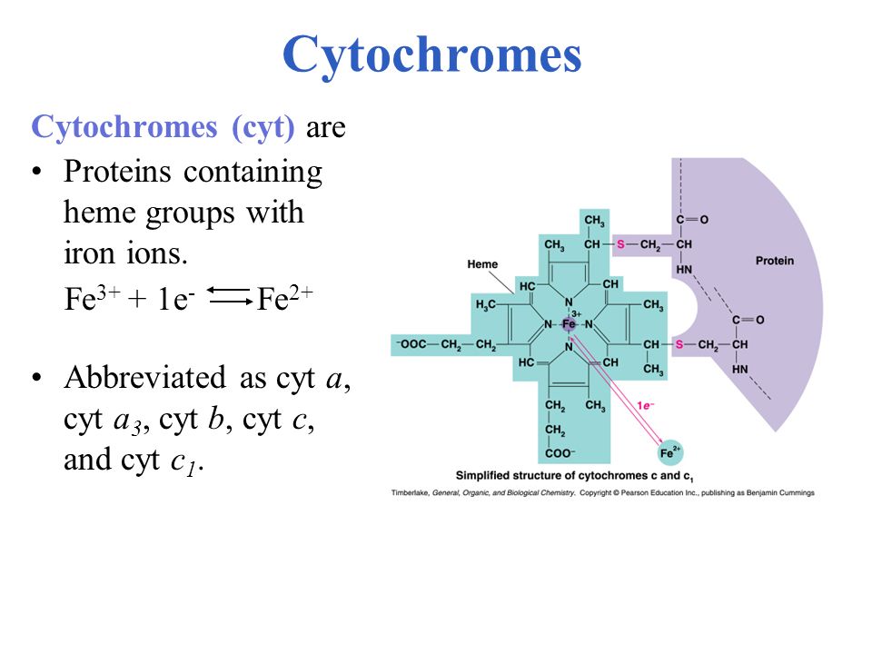 Cytochromes Cytochromes (cyt) are
