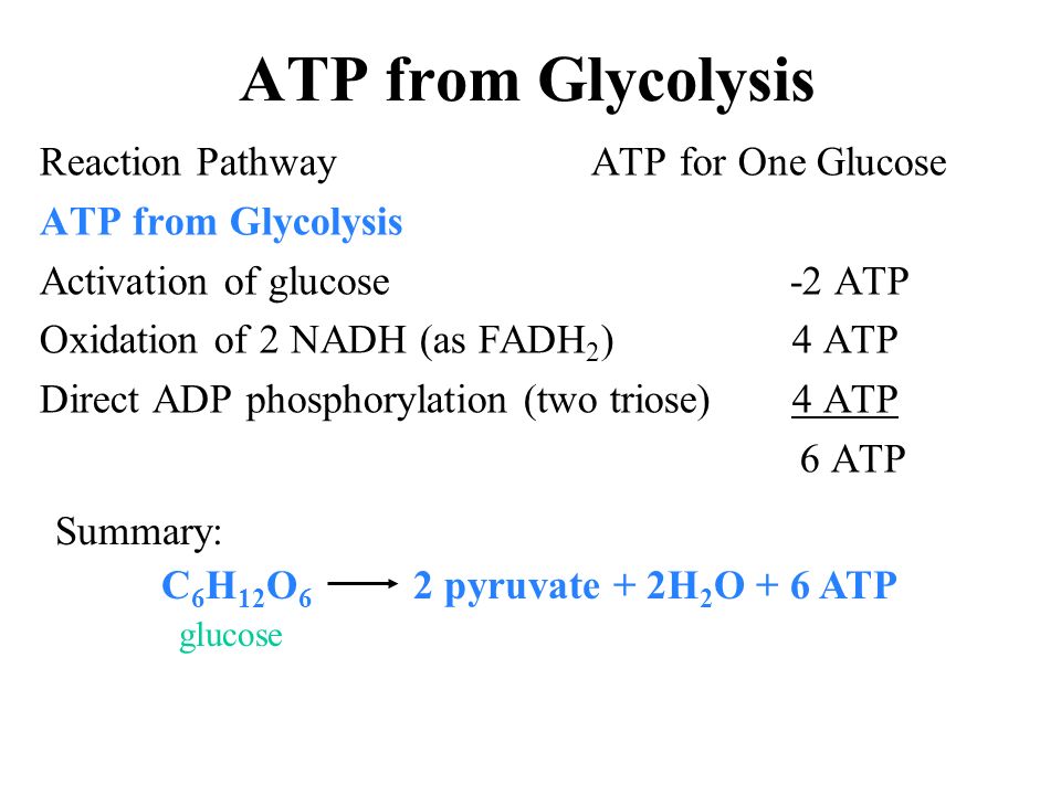 ATP from Glycolysis Reaction Pathway ATP for One Glucose