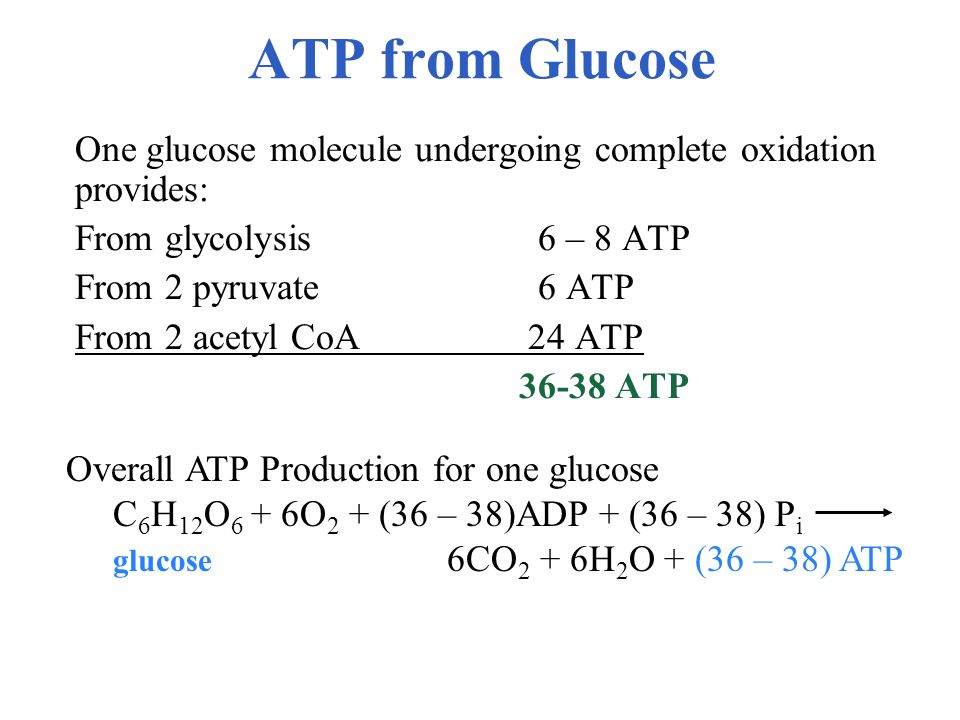 ATP from Glucose From glycolysis 6 – 8 ATP From 2 pyruvate 6 ATP