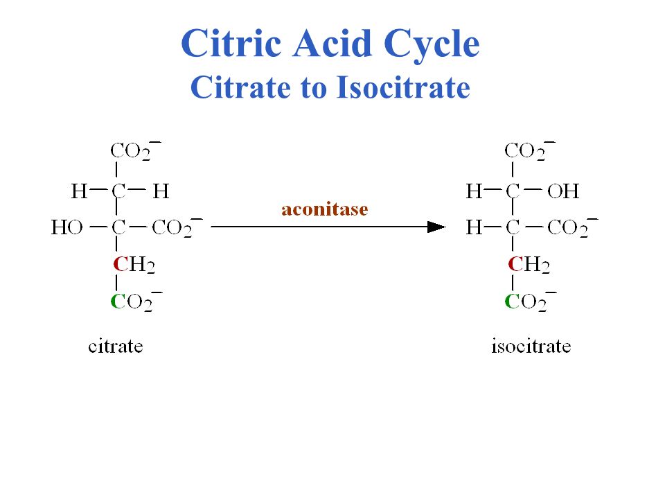 Citric Acid Cycle Citrate to Isocitrate
