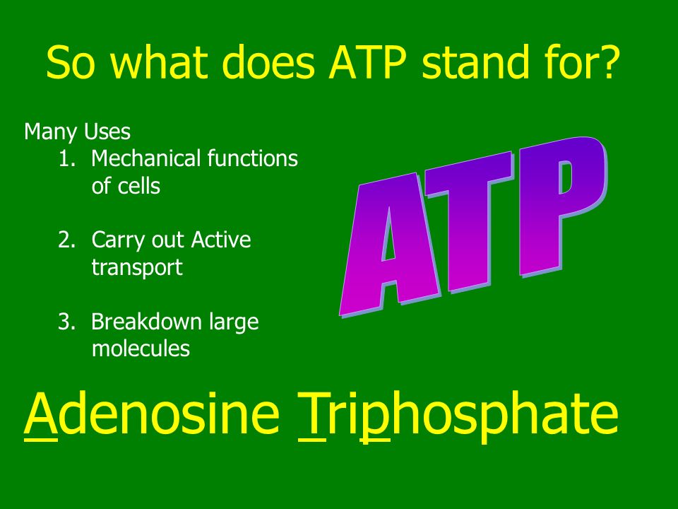 Ch. 8.1 & 9 ATP, Cellular Respiration and Photosynthesis - ppt download