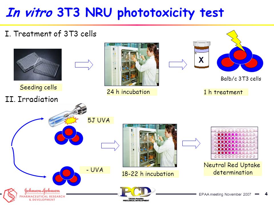 In Vitro 3t3 Nru Phototoxicity Test Ppt Download