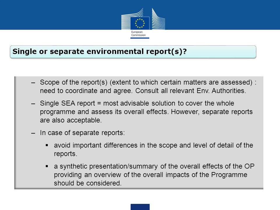 Single or separate environmental report(s)