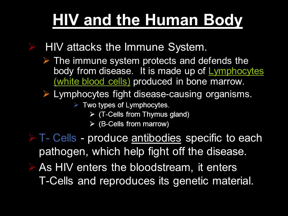 HIV and the Human Body HIV attacks the Immune System.