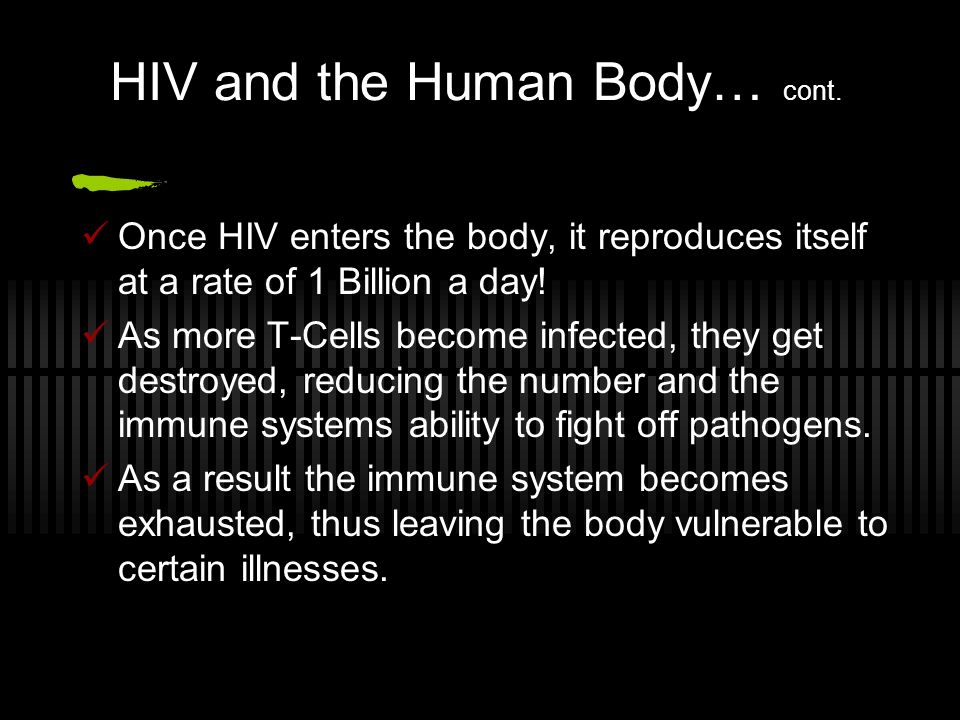 HIV and the Human Body… cont.