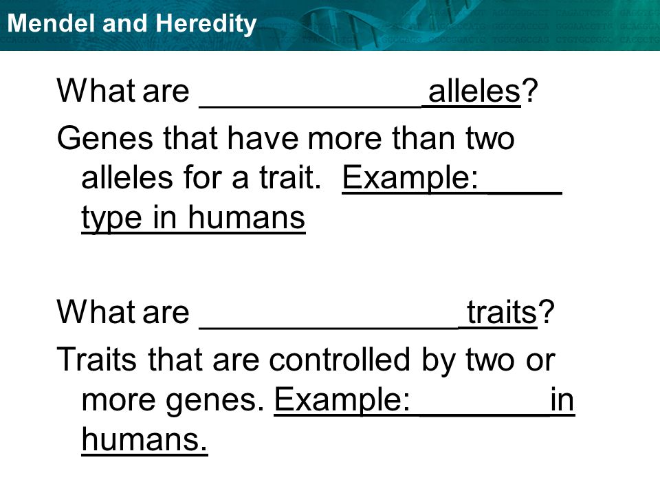What are ____________ alleles