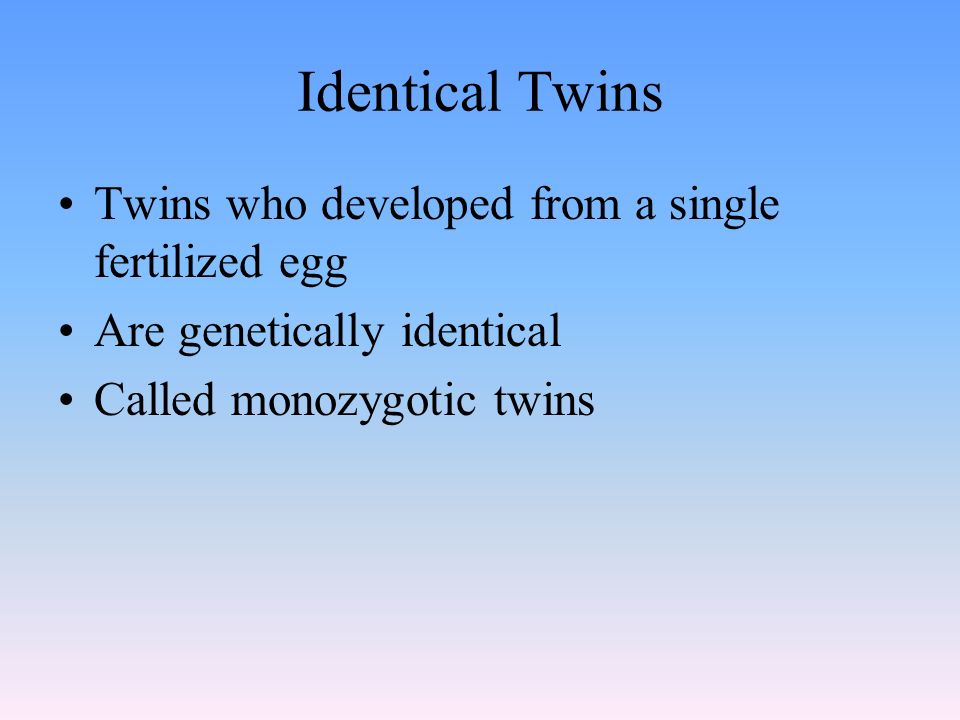Identical Twins Twins who developed from a single fertilized egg