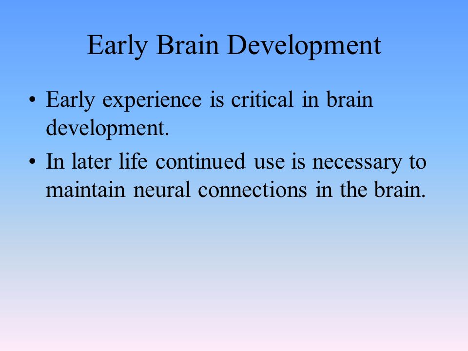 Early Brain Development