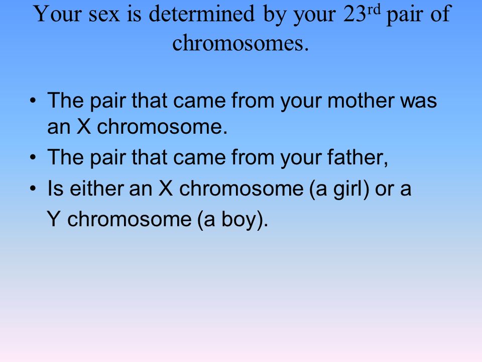 Your sex is determined by your 23rd pair of chromosomes.