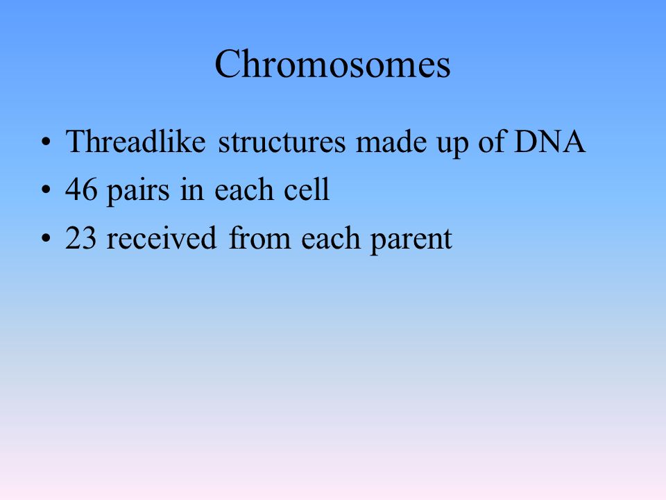 Chromosomes Threadlike structures made up of DNA 46 pairs in each cell