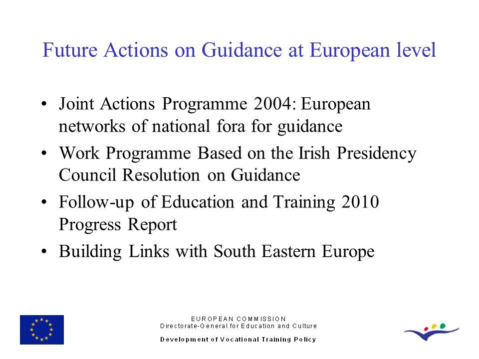 Future Actions on Guidance at European level