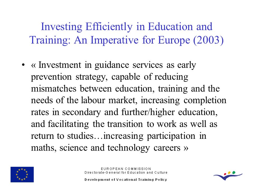 Investing Efficiently in Education and Training: An Imperative for Europe (2003)