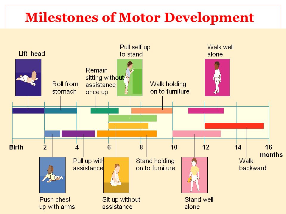Motor Development Chart