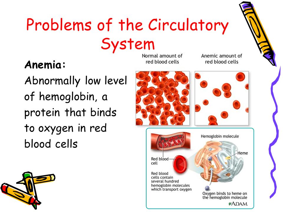 Problems of the Circulatory System