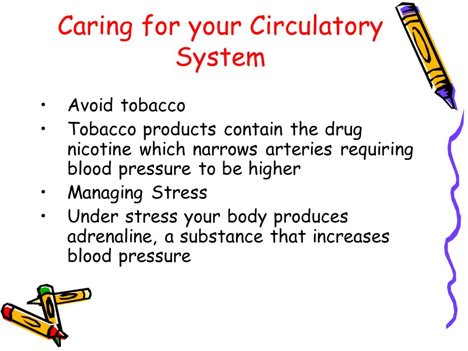 Caring for your Circulatory System