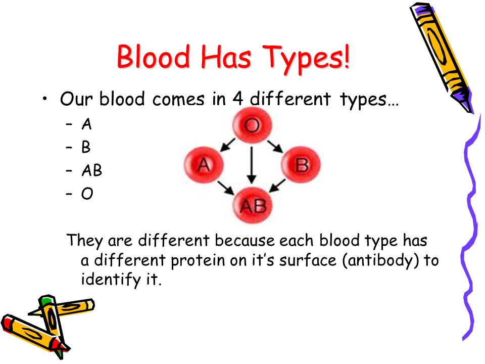 Blood Has Types! Our blood comes in 4 different types… A B AB O