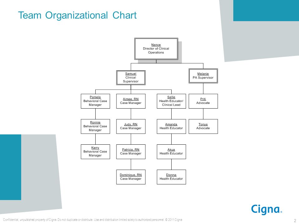 Cigna Organizational Chart