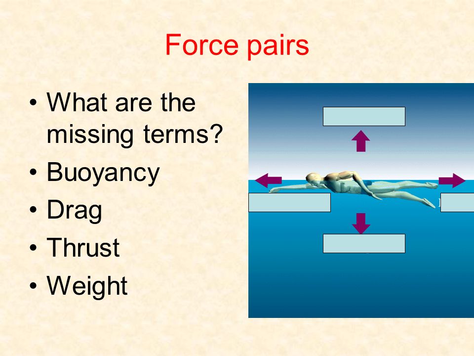 Force pairs What are the missing terms Buoyancy Drag Thrust Weight