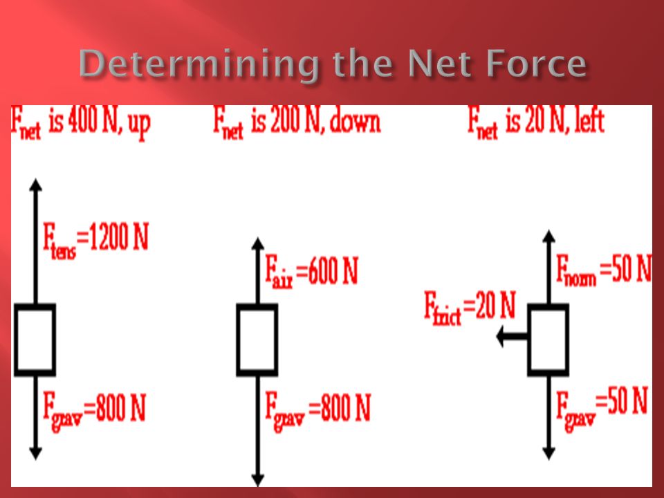 Determining the Net Force