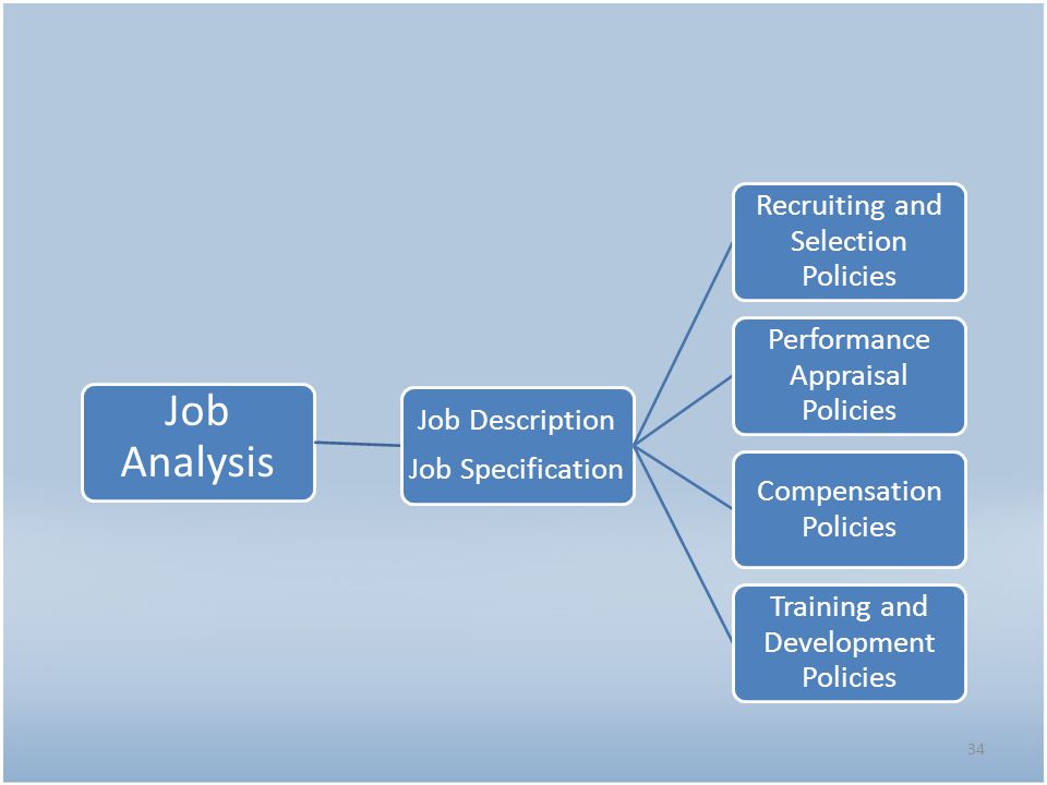 Job Analysis Job Specification Job Description