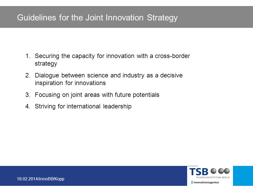 Guidelines for the Joint Innovation Strategy