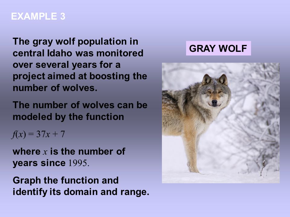 EXAMPLE 3 The gray wolf population in central Idaho was monitored over several years for a project aimed at boosting the number of wolves.