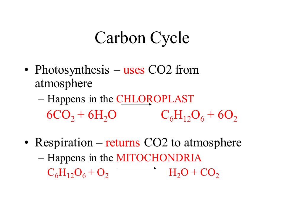 Carbon Cycle Photosynthesis – uses CO2 from atmosphere