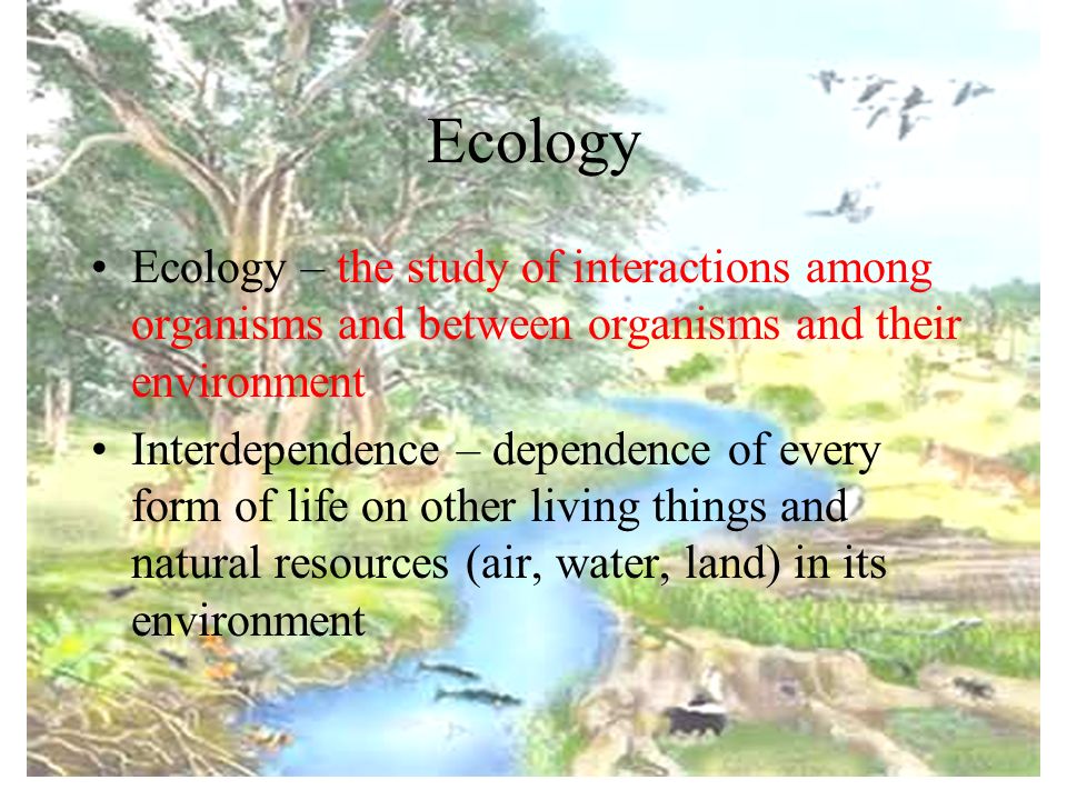 Ecology Ecology – the study of interactions among organisms and between organisms and their environment.