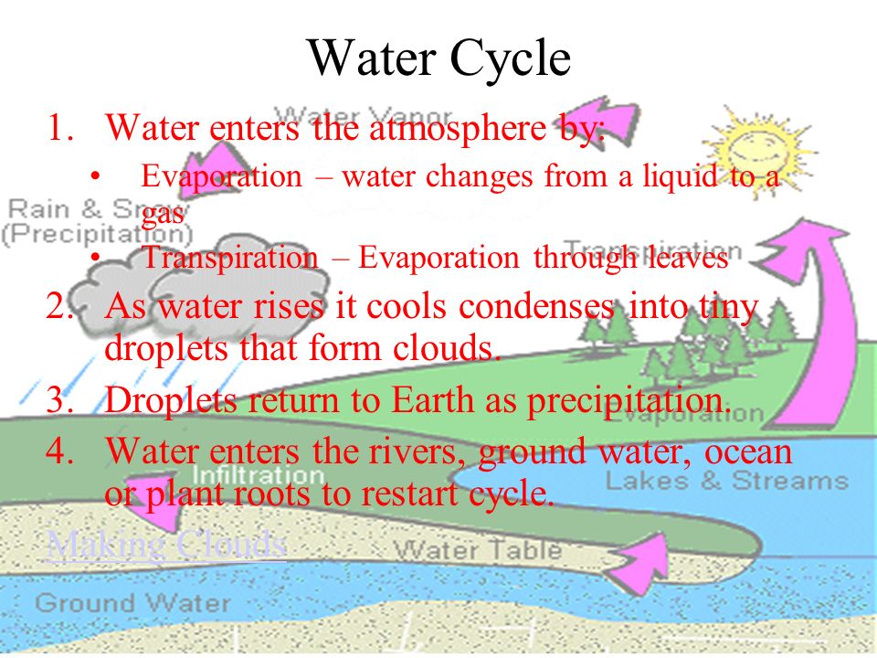Water Cycle Water enters the atmosphere by:
