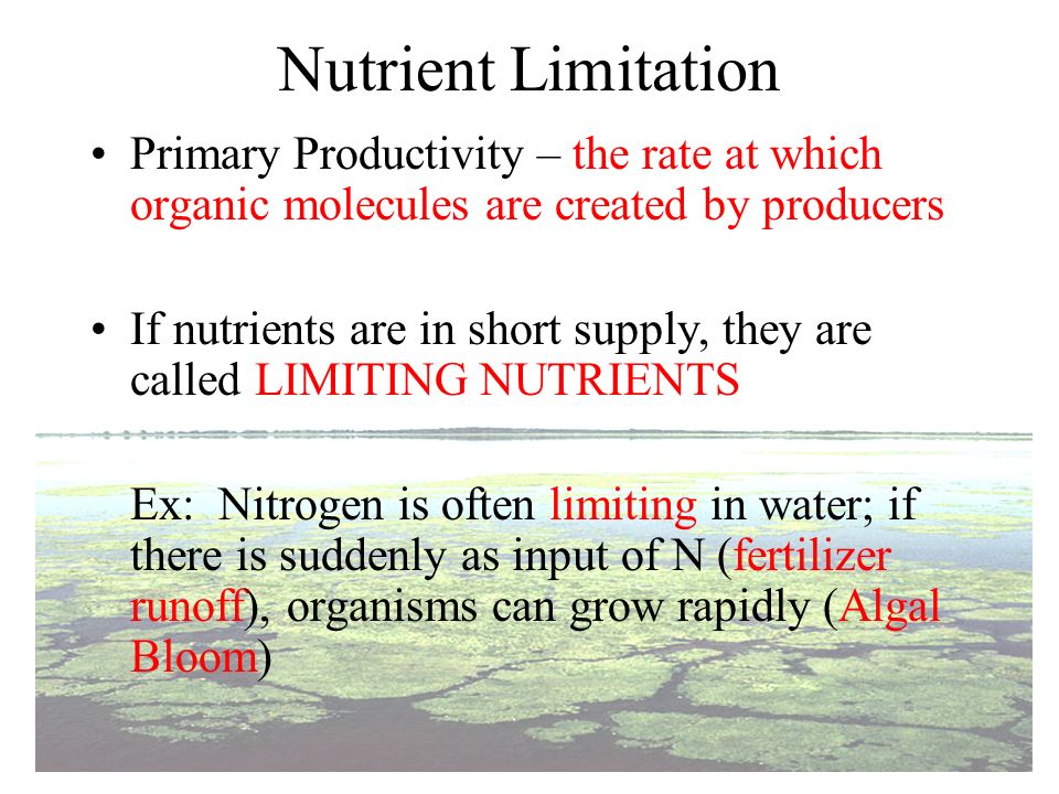 Nutrient Limitation Primary Productivity – the rate at which organic molecules are created by producers.