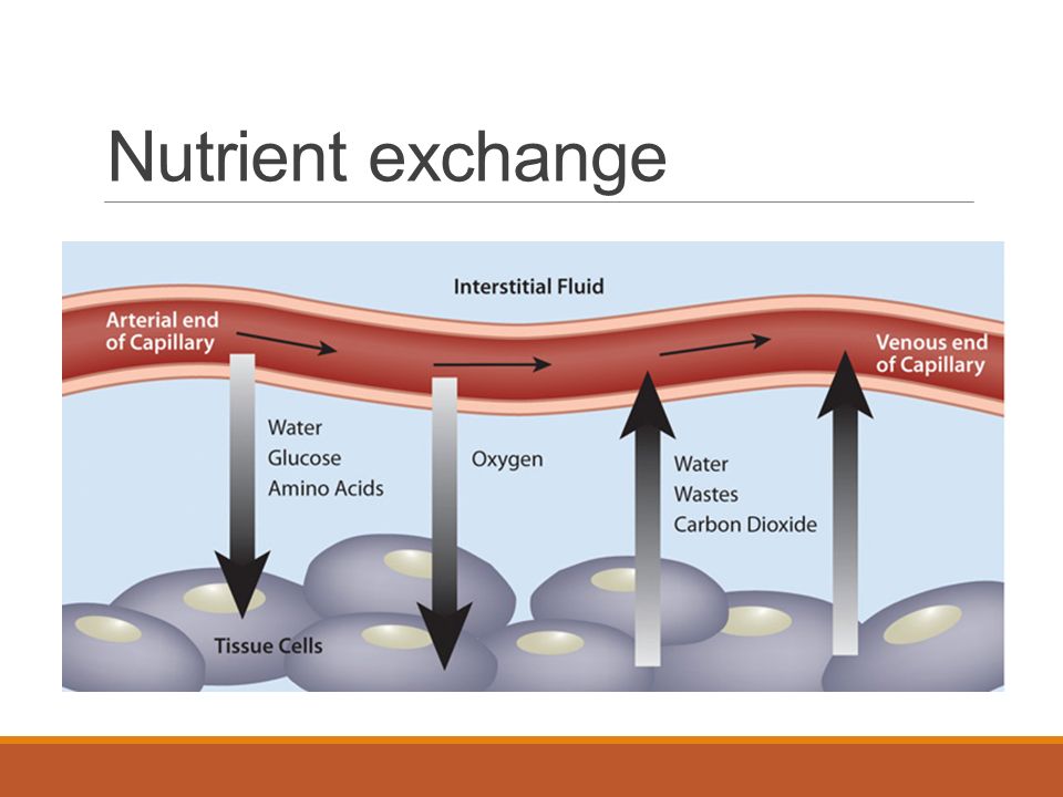 Nutrient exchange