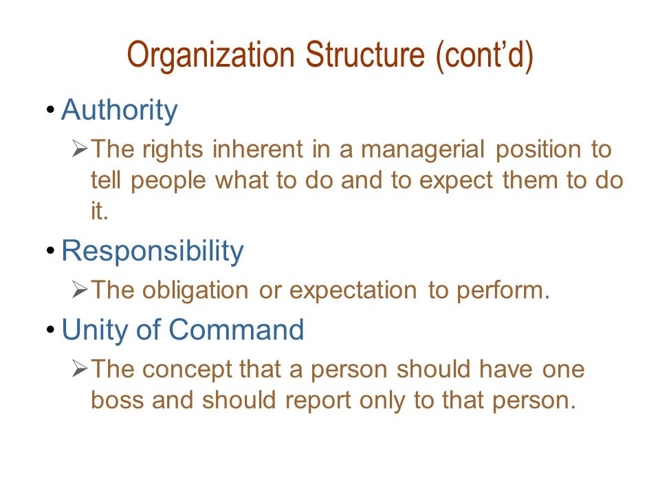 Organization Structure (cont’d)