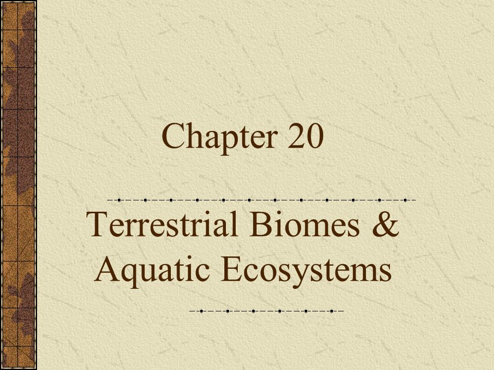 Chapter 20 Terrestrial Biomes & Aquatic Ecosystems - Ppt Video Online ...