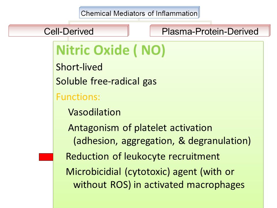 Nitric Oxide ( NO) Short-lived Soluble free-radical gas Functions: