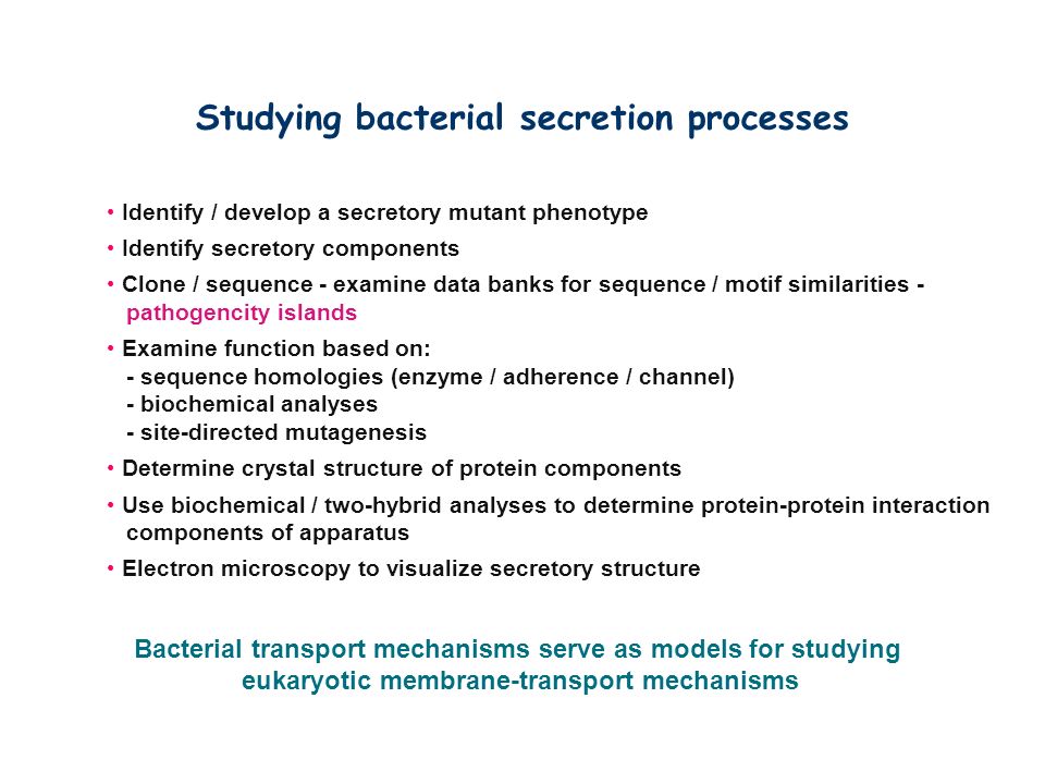 Studying bacterial secretion processes