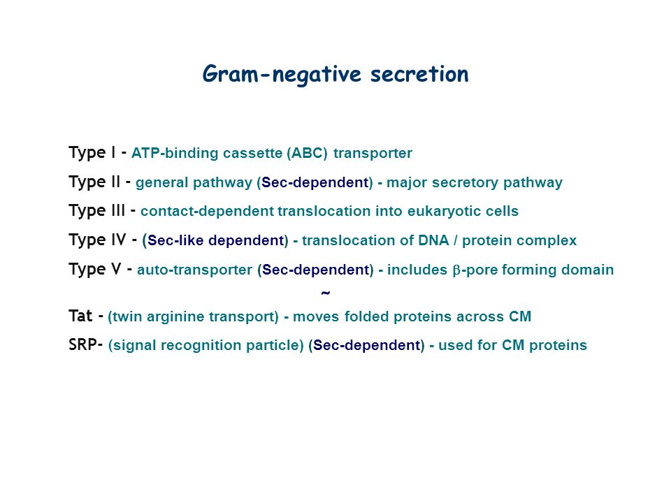 Gram-negative secretion