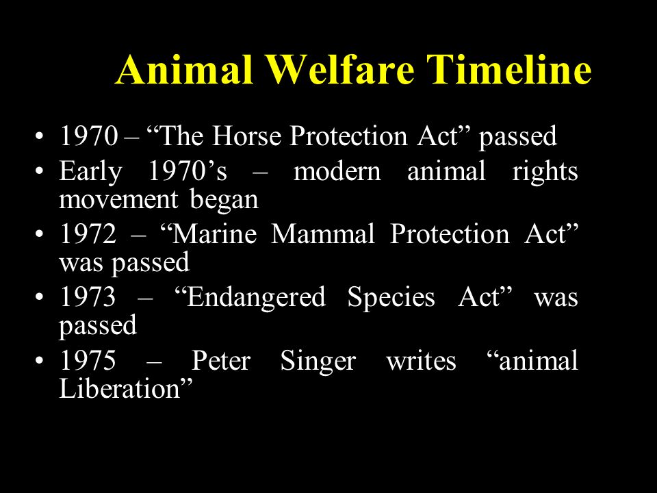 An Overview of Animal Welfare & Animal Rights - ppt video online download