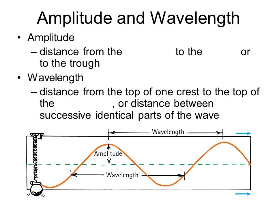Amplitude and Wavelength